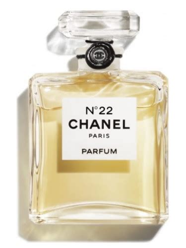 chanel 12 perfume|where to buy chanel 22.